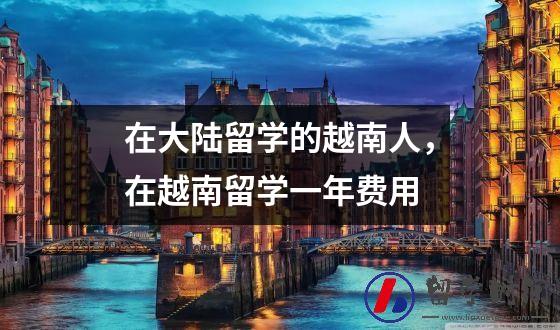在大陆留学的越南人，在越南留学一年费用