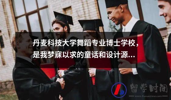 丹麦科技大学舞蹈专业博士学校，是我梦寐以求的童话和设计源泉。
