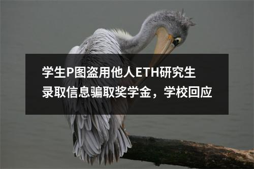 学生P图盗用他人ETH研究生录取信息骗取奖学金，学校回应
