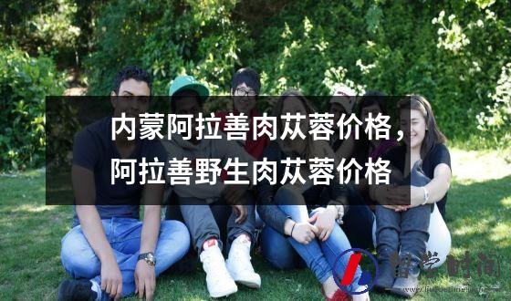 内蒙阿拉善肉苁蓉价格，阿拉善野生肉苁蓉价格