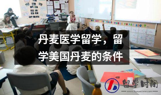 丹麦医学留学，留学美国丹麦的条件