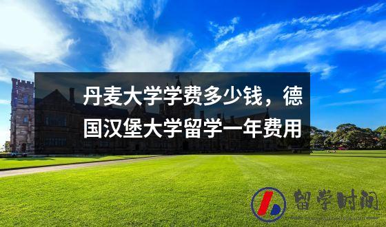 丹麦大学学费多少钱，德国汉堡大学留学一年费用