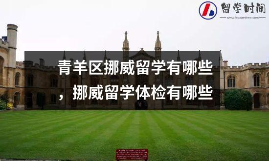 青羊区挪威留学有哪些，挪威留学体检有哪些
