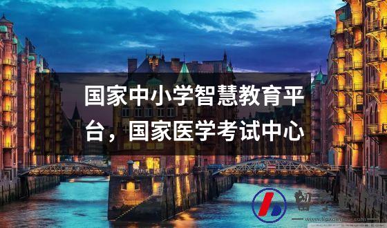 国家中小学智慧教育平台，国家医学考试中心