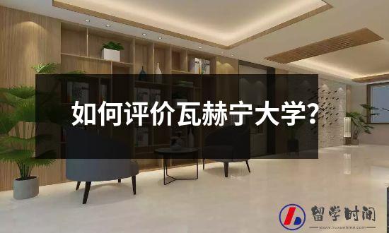 如何评价瓦赫宁大学？
