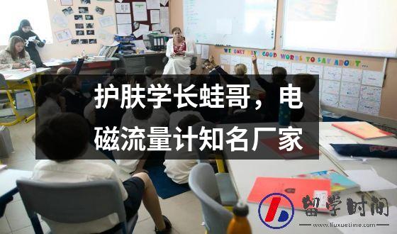护肤学长蛙哥，电磁流量计知名厂家