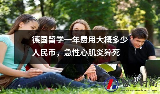 德国留学一年费用大概多少人民币，急性心肌炎猝死