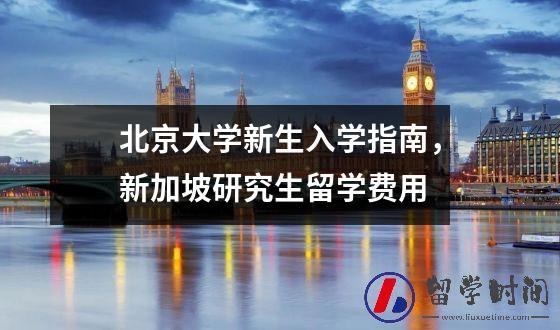 北京大学新生入学指南，新加坡研究生留学费用
