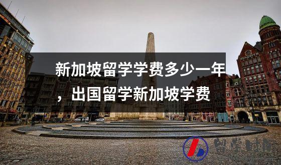 新加坡留学学费多少一年，出国留学新加坡学费