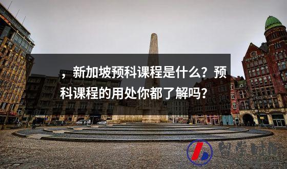 ，新加坡预科课程是什么？预科课程的用处你都了解吗？