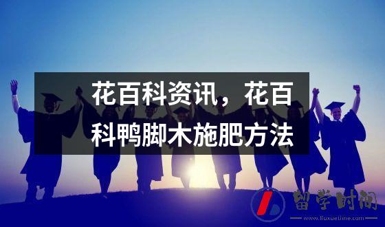 花百科资讯，花百科鸭脚木施肥方法