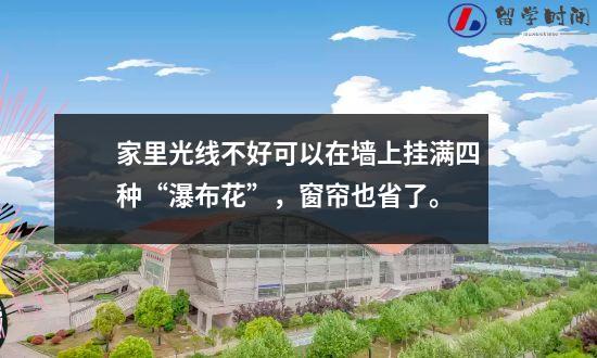 家里光线不好可以在墙上挂满四种“瀑布花”，窗帘也省了。