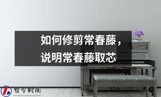 如何修剪常春藤，说明常春藤取芯