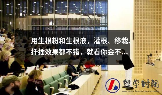 用生根粉和生根液，灌根、移栽、扦插效果都不错，就看你会不会用了。