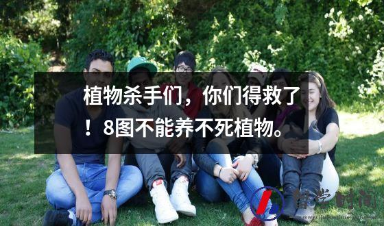 植物杀手们，你们得救了！8图不能养不死植物。