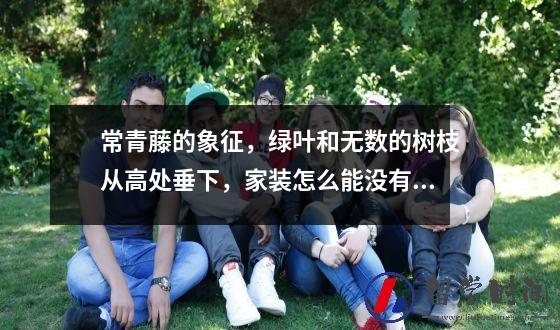 常青藤的象征，绿叶和无数的树枝从高处垂下，家装怎么能没有它呢？