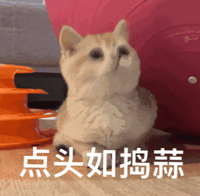高考后留学澳洲，成绩一本线以上可直升本科大一，实现超车效果
