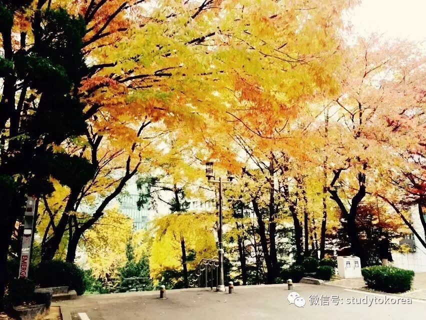 韩国安城市疫情最新消息_韩国安城市_韩国安城