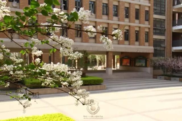 郑州一八国际学校_郑州国际学校高中有哪些_郑州国际学校学费