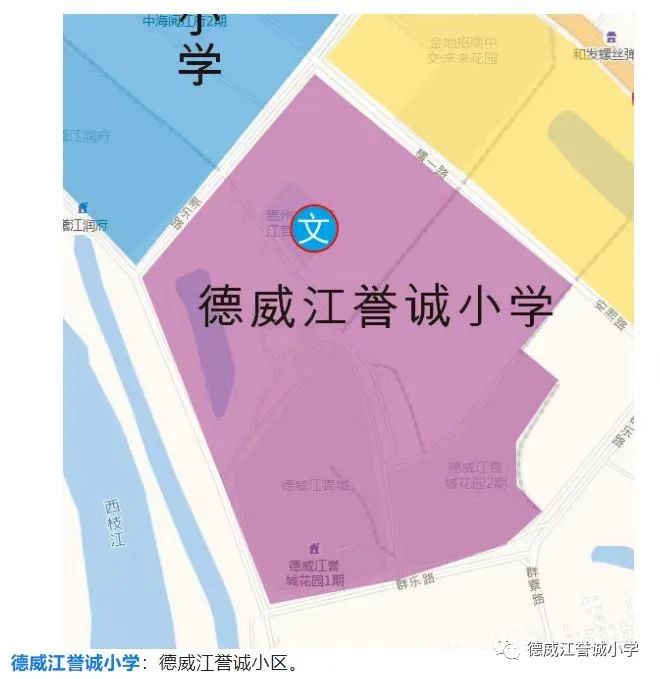 小学转学申请表电子版_小学转学申请表_转学申请表小学怎么写
